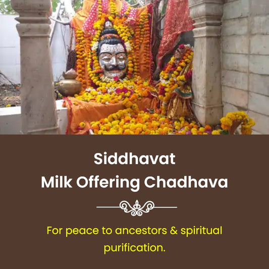 Siddhavat Milk Offering Chadhava | Online Puja