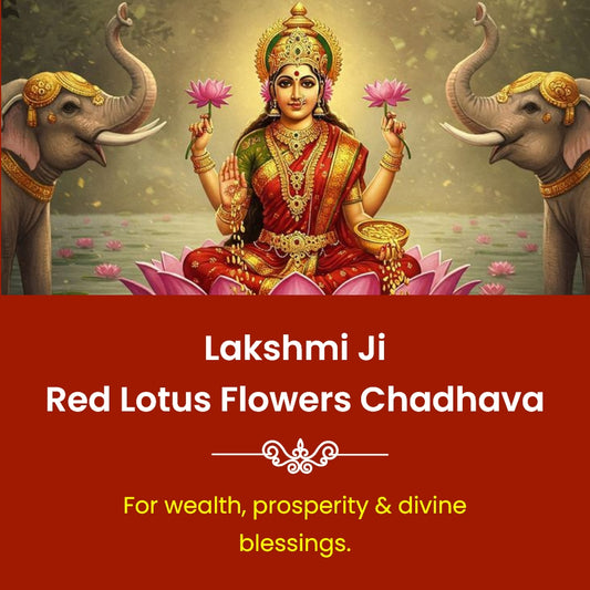Lakshmi Ji Red Lotus Flowers Chadhava | Online Puja