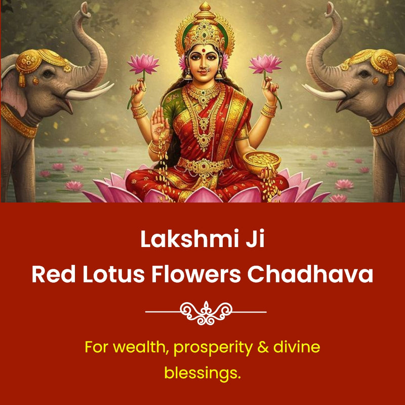 Lakshmi Ji Red Lotus Flowers Chadhava | Online Puja